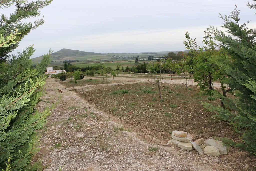 Villa Delle Palme Delfina Trapani Landhuis