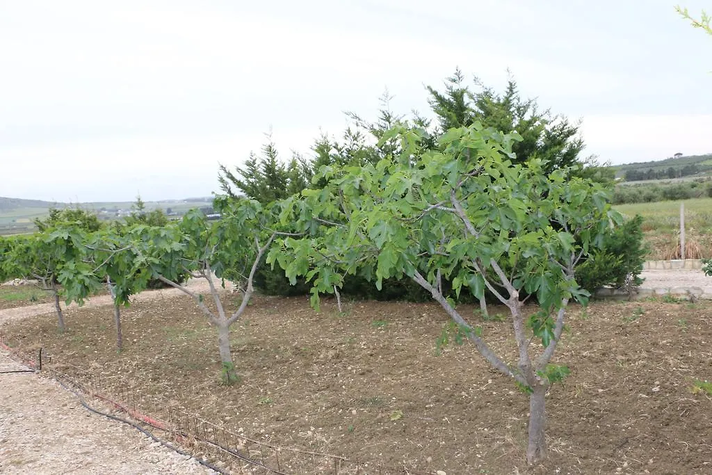 Villa Delle Palme Delfina Trapani